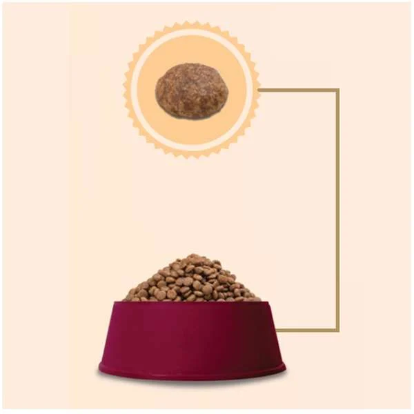 Gran Plus Menu Mini Adulto Frango e Arroz 1kg